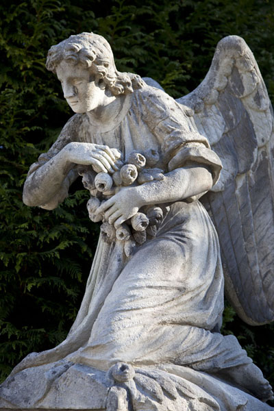 angel0000