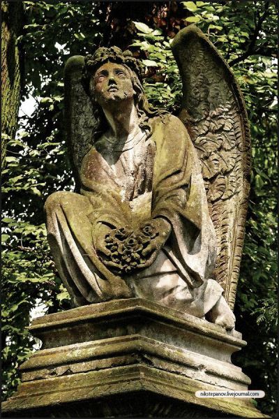 angel1
