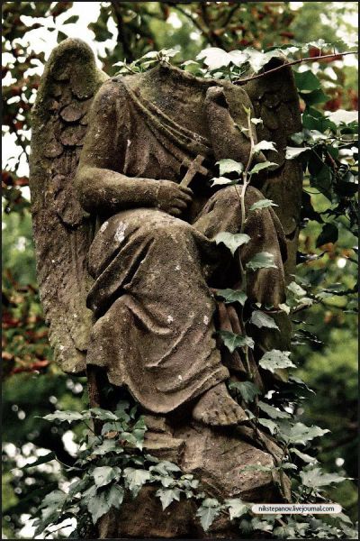 angel2