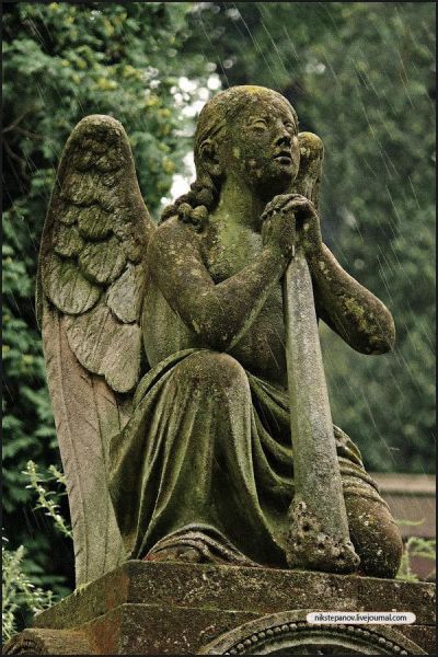 angel3