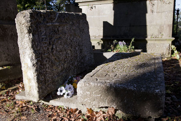 angel30_oldest tomb of Lychakiv cemetery erected in 1675