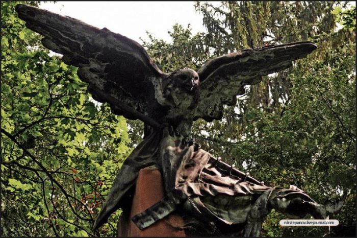 angel5