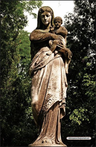 angel6