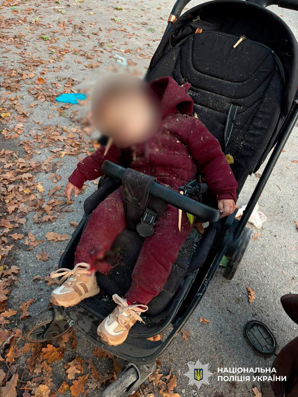 russian drone kills six kharkiv oblast park including mother 14-month-old stroller hours later ukraine shows photos senators · post anhelina killed attack inna died hospital 19 2026 nova vodolaha killed_in_kharkiv_oblast