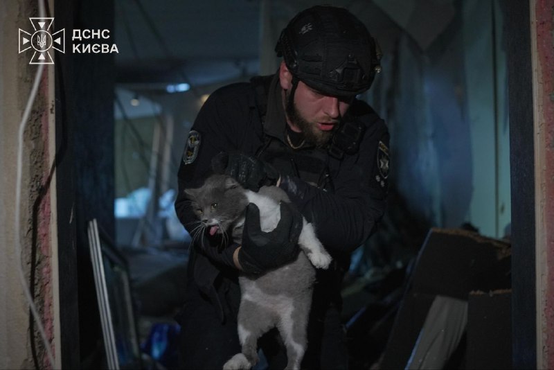 A rescuer carries a cat out after a Russian drone strike on an apartment building in Kyiv, 21 October 2026.